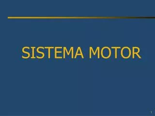 sistema motor