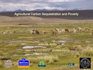 Agricultural Carbon Sequestration and Poverty