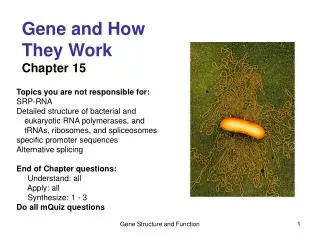 Gene and How They Work Chapter 15