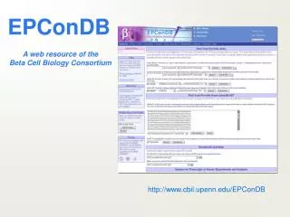 EPConDB