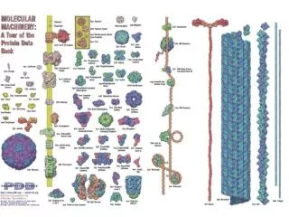 Why Structure?