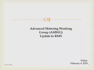 Advanced Metering Working Group (AMWG) Update to RMS