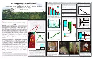 Carbon Balance and Vegetation Dynamics in an Old-growth Amazonian Forest