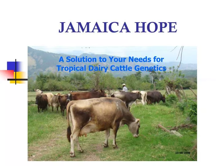 jamaica hope