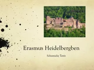 erasmus heidelbergben