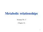 Energy Transformation in the Human Body: Insights from Metabolic Relationships Seminar - slide 1