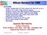 Design Considerations for Silicon Pixel Sensors in the LHC: p-on-n vs. n-on-n Technologies - slide 1