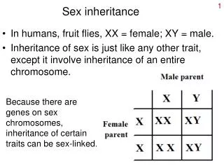 Sex inheritance