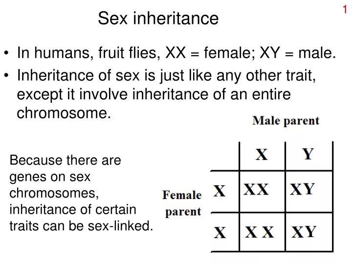 sex inheritance