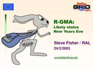 R-GMA: Likely status New Years Eve
