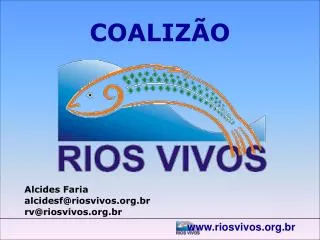 coaliz o