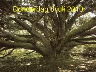 donderdag 8 juli 2010