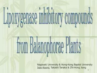Lipoxygenase inhibitory compounds from Balanophorae Plants