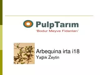 arbequina irta i 18 y a l k z eytin