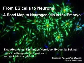 From ES cells to Neurons: A Road Map to Neurogenesis in the Embryo