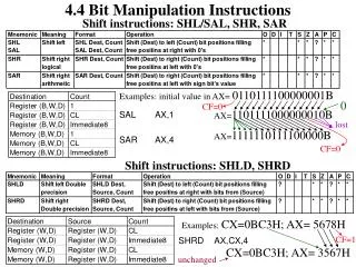 4.4 Bit Manipulation Instructions