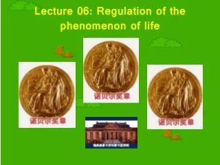 Lecture 06: Regulation of the phenomenon of life
