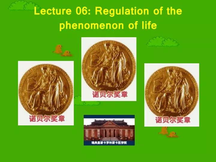 lecture 06 regulation of the phenomenon of life