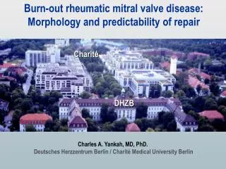 Burn-out rheumatic mitral valve disease: Morphology and predictability of repair
