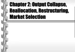 Chapter 2: Output Collapse, Reallocation, Restructuring, Market Selection