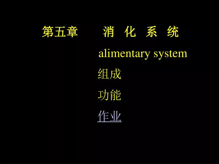 alimentary system