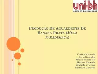 produ o de aguardente de banana prata musa paradisiaca