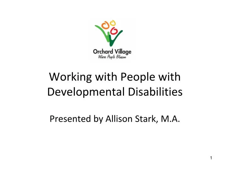 working with people with developmental disabilities presented by allison stark m a