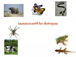 jaanavaraom ko duinayaa