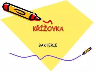 k ovka
