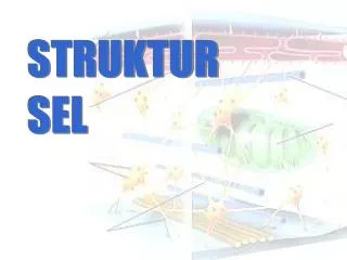 struktur sel