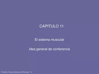capitulo 11