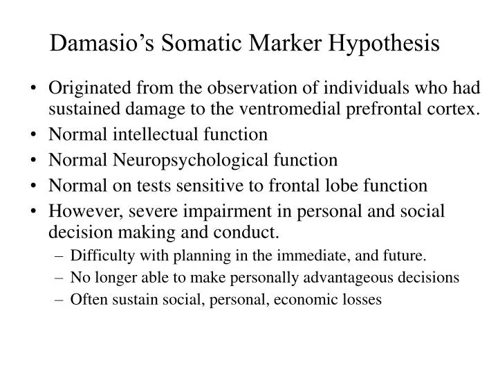 damasio s somatic marker hypothesis