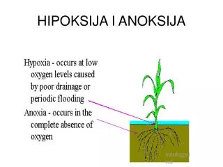 hipoksija i anoksija