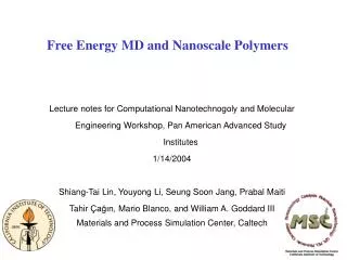 Free Energy MD and Nanoscale Polymers