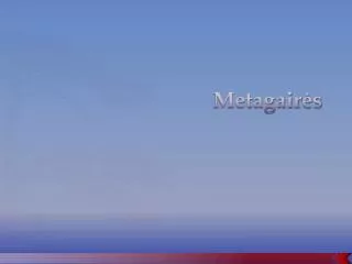 metagair s