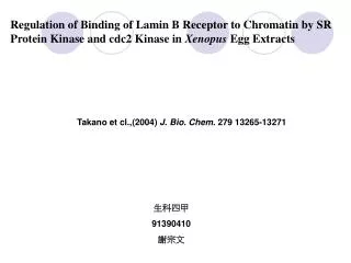 Regulation of Binding of Lamin B Receptor to Chromatin by SR