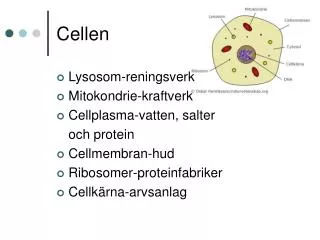 cellen