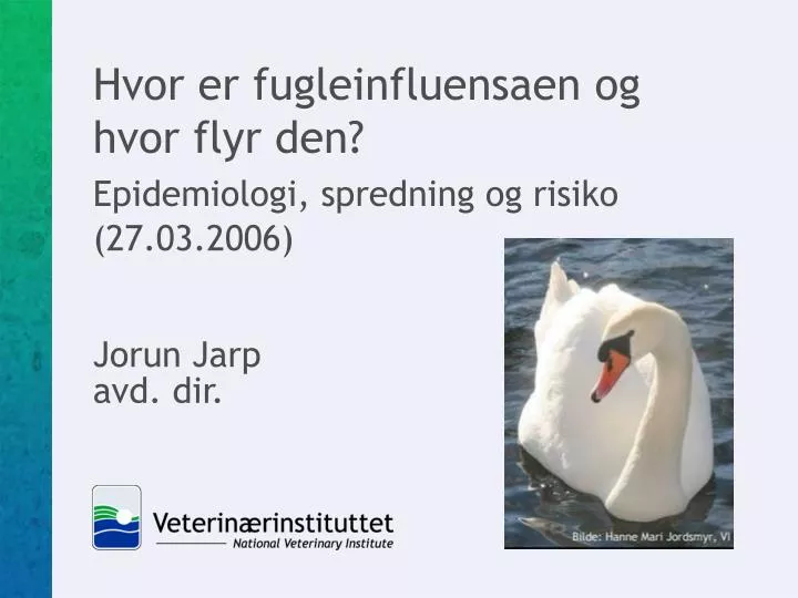 hvor er fugleinfluensaen og hvor flyr den epidemiologi spredning og risiko 27 03 2006