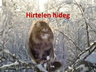 hirtelen hideg