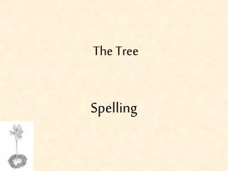 the tree