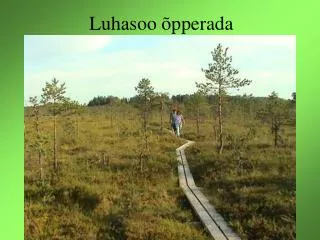 luhasoo pperada