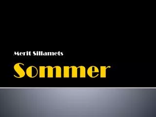 merit sillamets