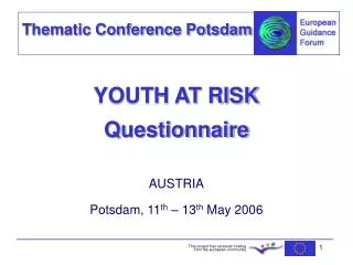 YOUTH AT RISK Questionnaire