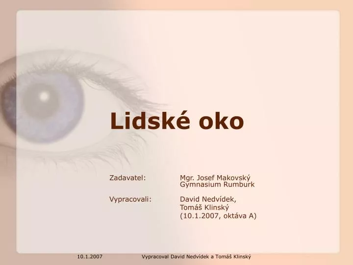 lidsk oko