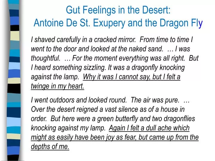 gut feelings in the desert antoine de st exupery and the dragon fl y
