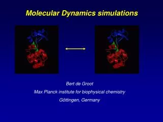 Molecular Dynamics simulations