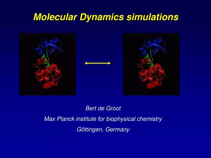 molecular dynamics simulations