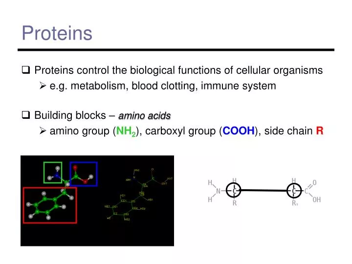 proteins