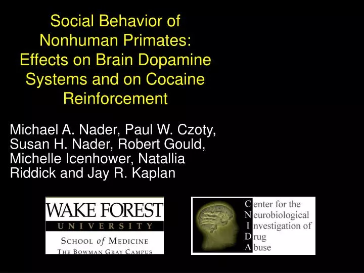 social behavior of nonhuman primates effects on brain dopamine systems and on cocaine reinforcement