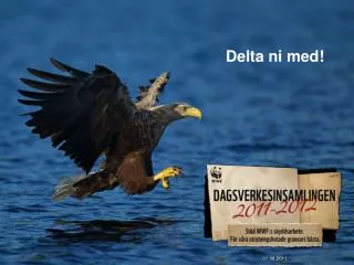delta ni med
